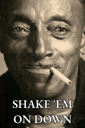 Shake ‘Em On Down (2016) poster