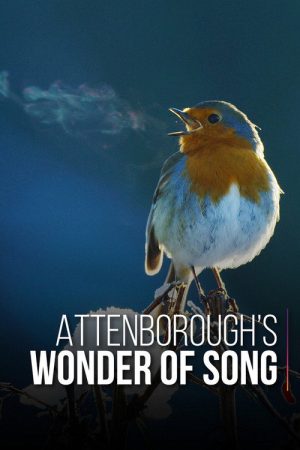 Attenborough’s Wonder of Song (2022) poster