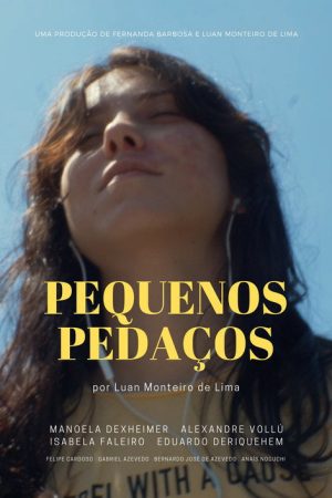 Little Pieces (2020) poster