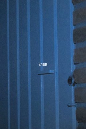 256B (2024) poster