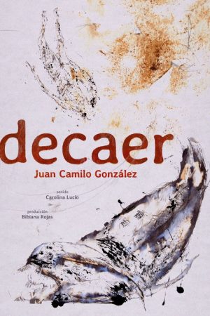 decay (2026) poster