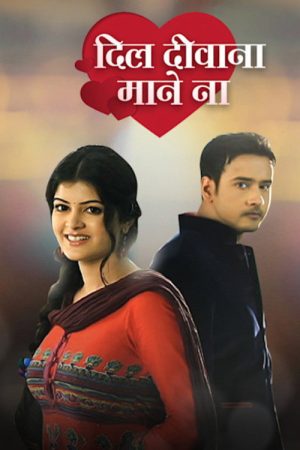 Dil Deewana Mane Na (2023) poster