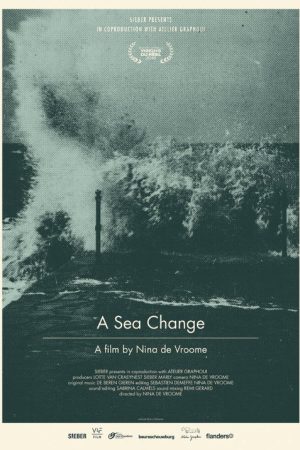 A Sea Change (2016) poster