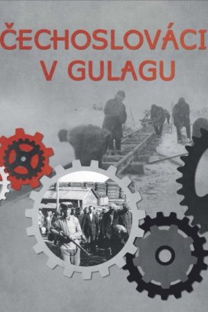 Čechoslováci v gulagu (2017) poster