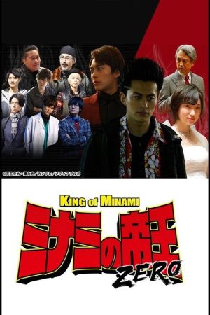 The King of Minami ZERO (2019) poster