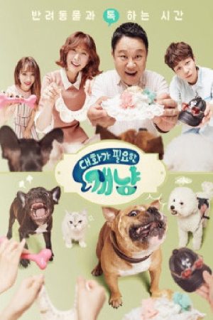 대화가 필요한 개냥 (2017) poster