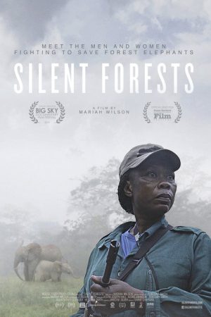 Silent Forests (2019) poster