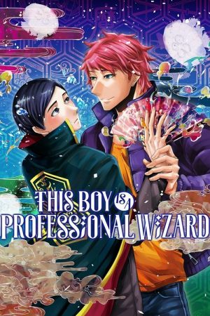 This Boy Is a Professional Wizard (2016) poster