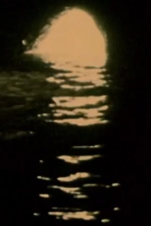 Malfunctions (2024) poster