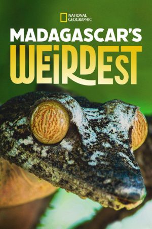 Madagascar’s Weirdest (2020) poster