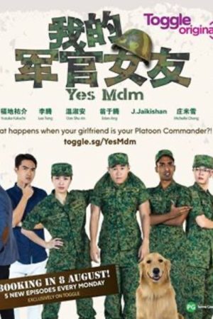 我的军官女友 (2016) poster