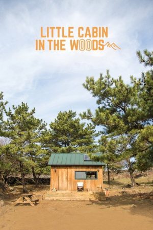Little Cabin in the Woods (2018) poster