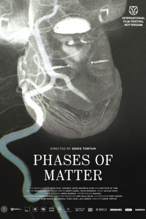 Phases of Matter (2020) poster