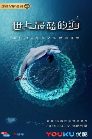 Great Barrier Reef: A Living Treasure (2019) poster