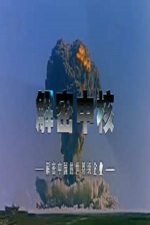 解密中核 (2016) poster
