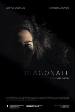 Diagonale (2019) poster
