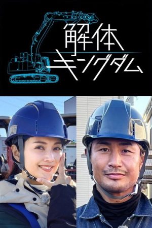 Amazing Disassembly Works (2020) poster