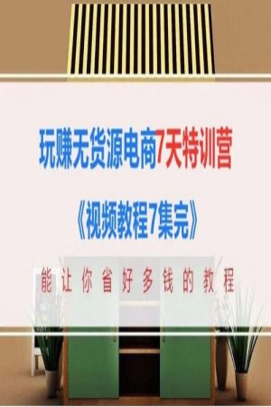 玩赚无货源电商7天特训营 (2020) poster