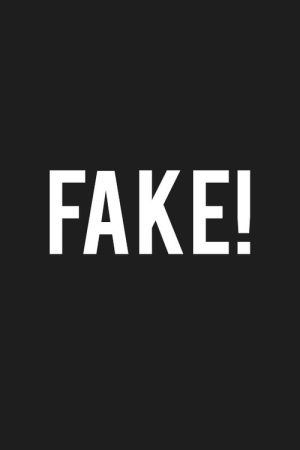 FAKE! (2017) poster
