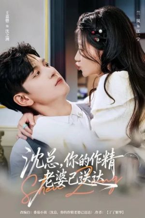 沈总，你的作精老婆已送达 (2026) poster