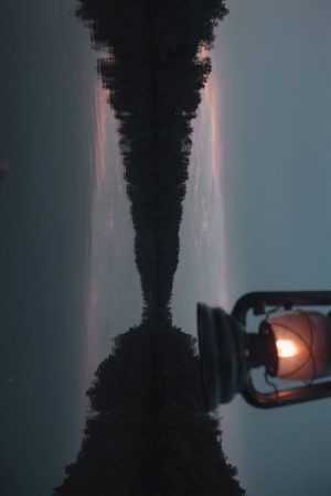 Firefly (2018) poster