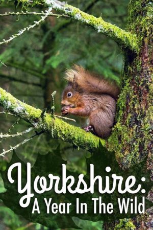 Yorkshire: A Year in The Wild (2017) poster