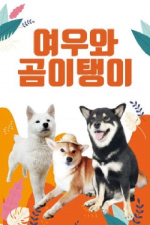 여우와 곰이탱이 (2019) poster