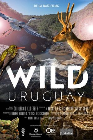 Wild Uruguay (2020) poster