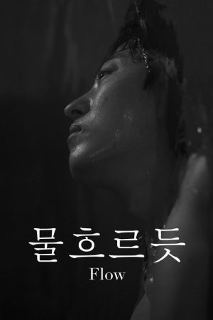 Flow (2026) poster