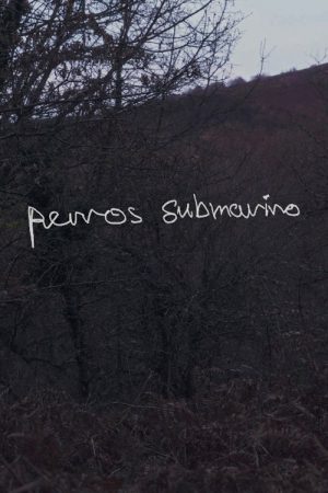 Perros submarino (2024) poster