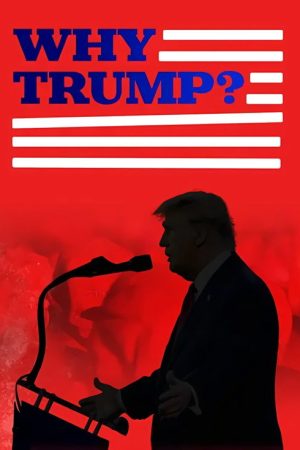 Why Trump? (2024) poster