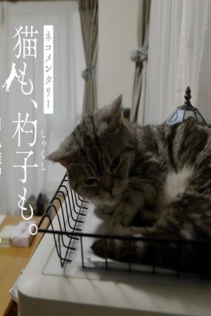 ネコメンタリー (2020) poster