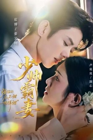 少帅霸妻，强扭的瓜不甜也得甜 (2025) poster