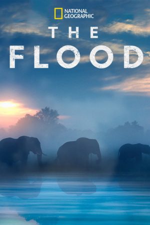 The Flood (2018) poster
