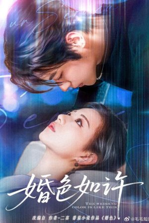 婚色如许 (2025) poster