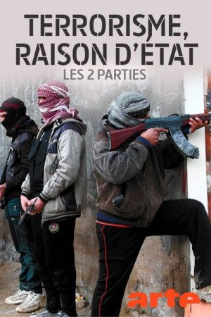 Terrorism: After 9/11 (2017) poster
