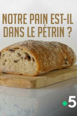 Notre pain est-il dans le pétrin ? (2017) poster