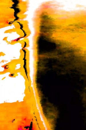 Pulmão Vagalume (2024) poster