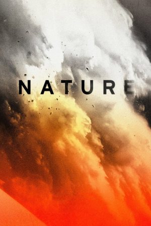 Nature (2019) poster