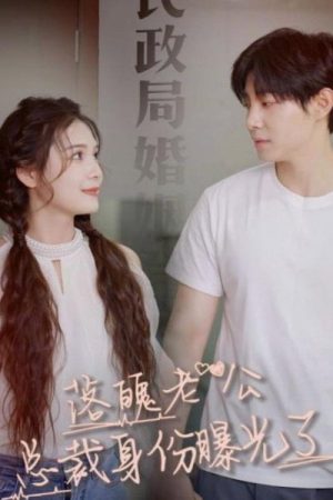 落魄老公总裁身份曝光了 (2023) poster