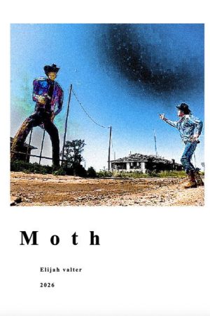 Moth (2026) poster