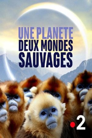 Une planète, deux mondes sauvages (2020) poster
