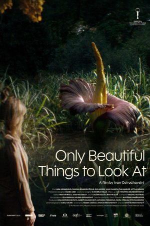 Only Beautiful Things to Look At (2026) poster