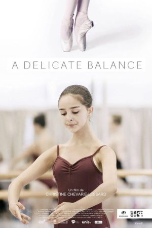 A Delicate Balance (2018) poster