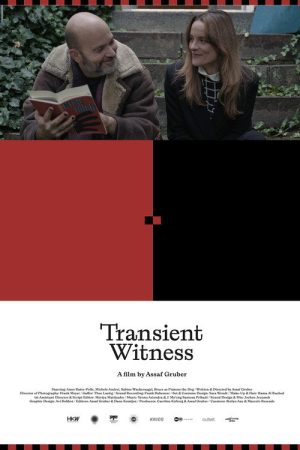 Transient Witness (2026) poster