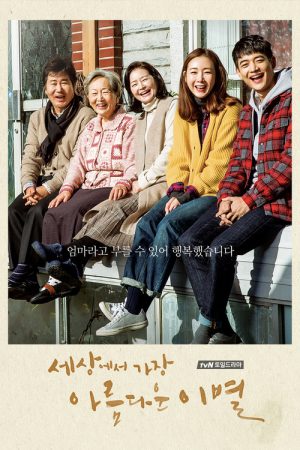 The Most Beautiful Goodbye (2017) poster