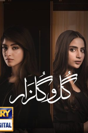 Gul-o-Gulzar (2019) poster