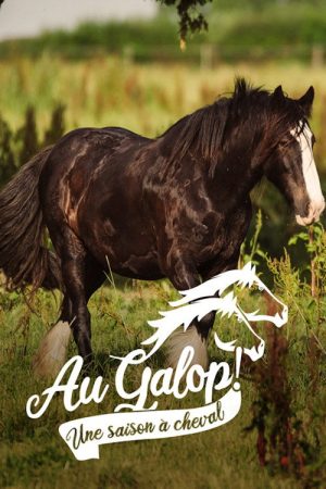 Au galop ! une saison à cheval (2020) poster