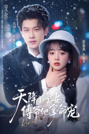 天降小孕妻，傅爷他拿命宠 (2026) poster
