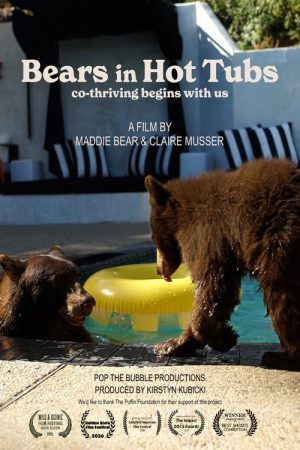 Bears in Hot Tubs (2026) poster